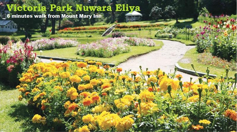 Mount Mary Inn Nuwara Eliya Luaran gambar