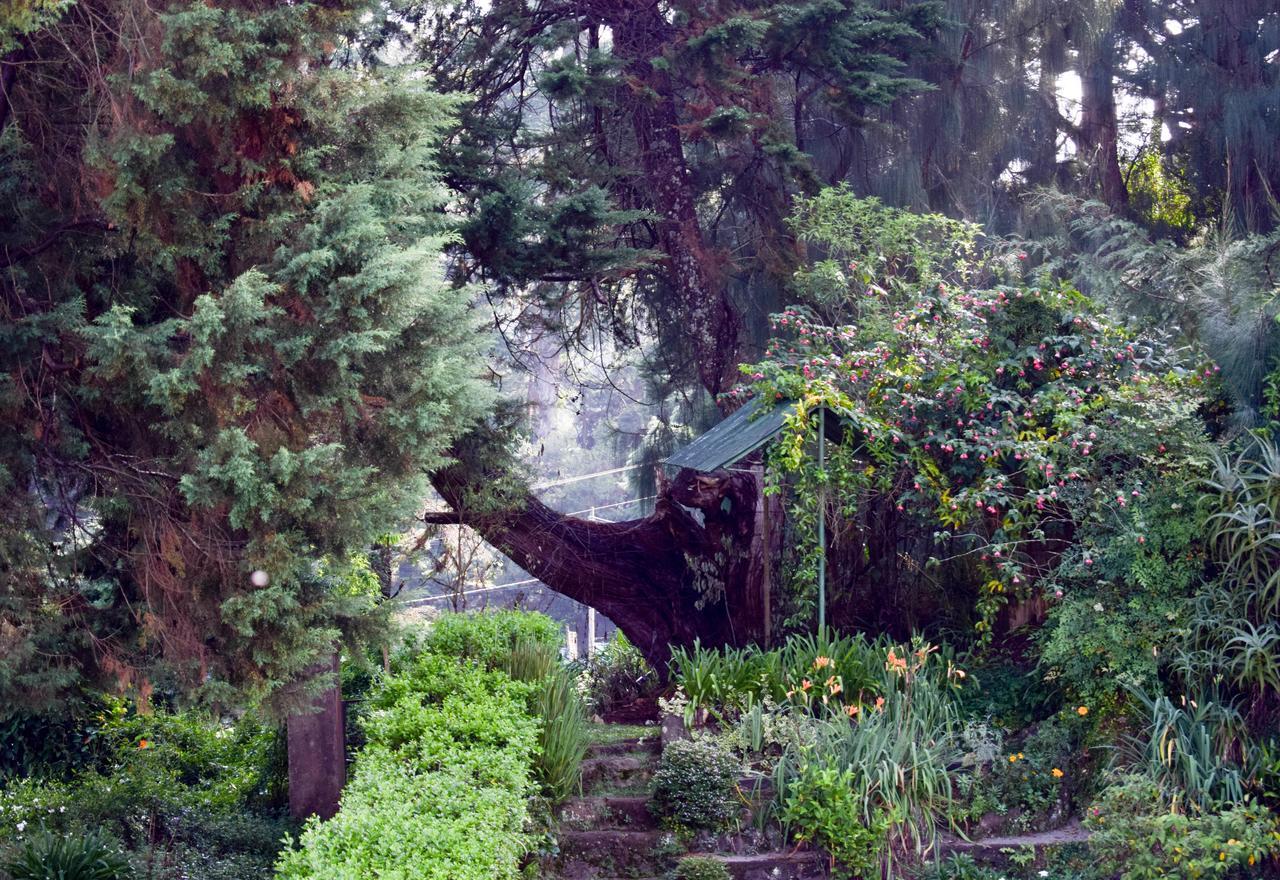 Mount Mary Inn Nuwara Eliya Luaran gambar